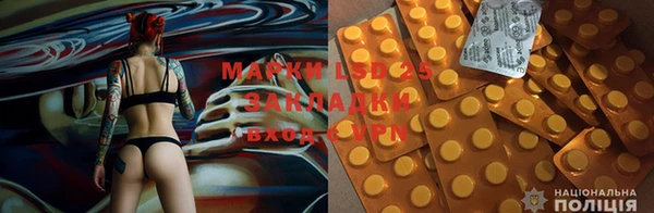 прущие грибы Алексеевка