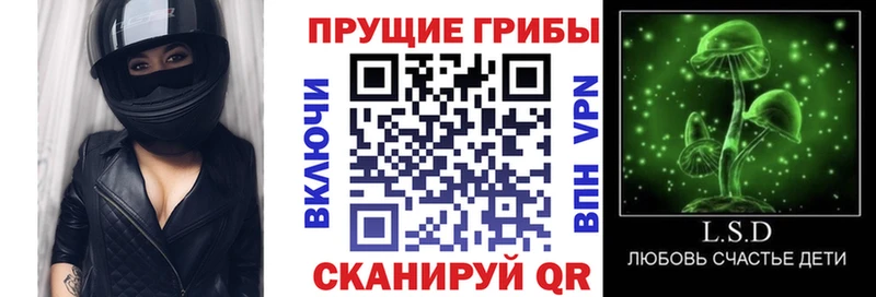 Галлюциногенные грибы Psilocybine cubensis  где можно купить наркотик  Пустошка 