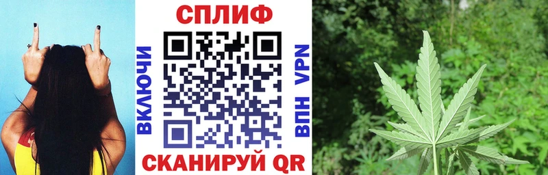 Шишки марихуана OG Kush Пустошка